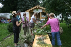 Frauenbüschel Frauenbüschel